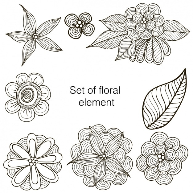 Conjunto de elementos florales