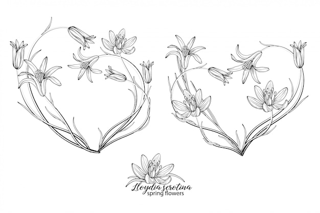 Conjunto de elementos florales