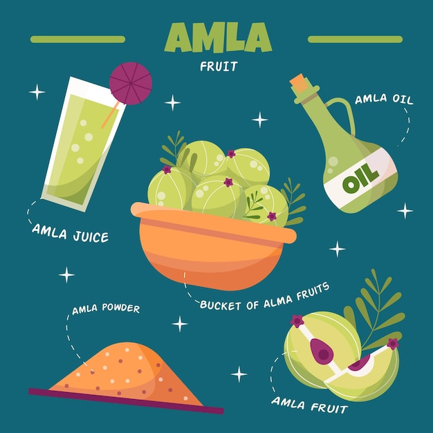 Conjunto de elementos de fruta amla dibujados a mano