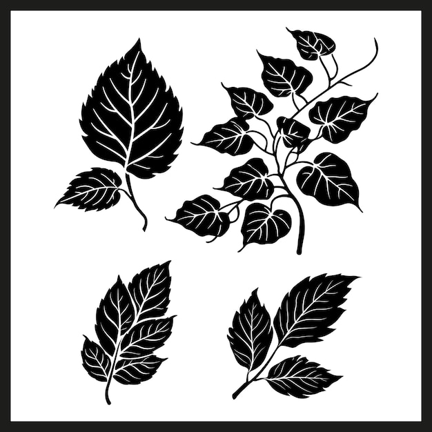 Conjunto de elementos gráficos decorativos de silueta de hojas