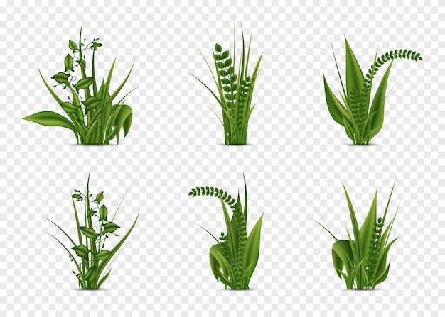 Vector conjunto de elementos de hierba de diferentes formas