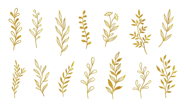 Vector conjunto de elementos de hoja de rama de oro boceto dibujado a mano garabatos hojas de oro elemento floral para fondo de boda diseño elegante ilustración vectorial