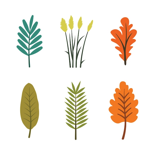 Conjunto de elementos de hojas de naranja verde follaje planta natural en la temporada de otoño otoño