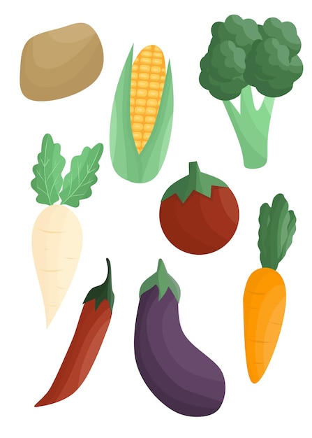 Vector conjunto de elementos de hortalizas