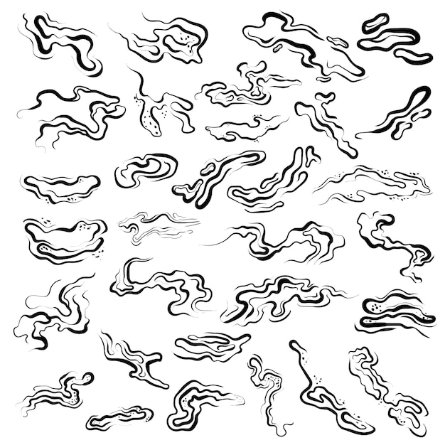 conjunto de elementos de líneas onduladas abstractas
