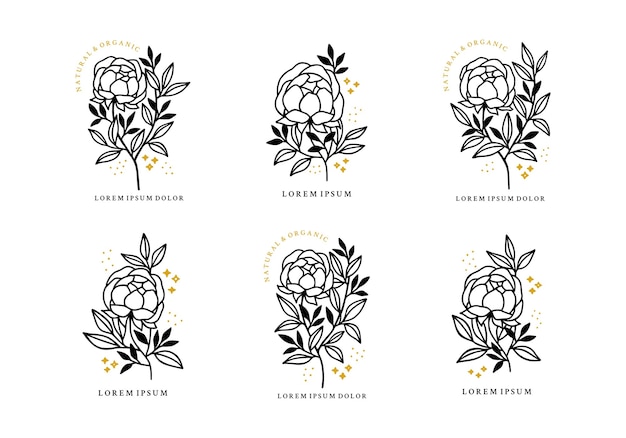 Conjunto de elementos de logotipo de flor rosa, peonía y hoja minimalistas dibujados a mano