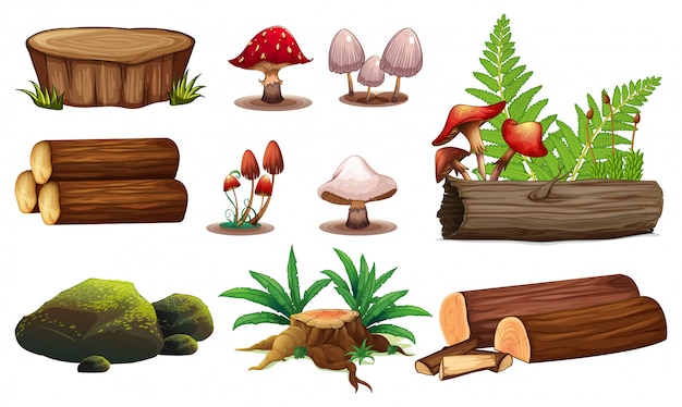 Un conjunto de elementos de madera