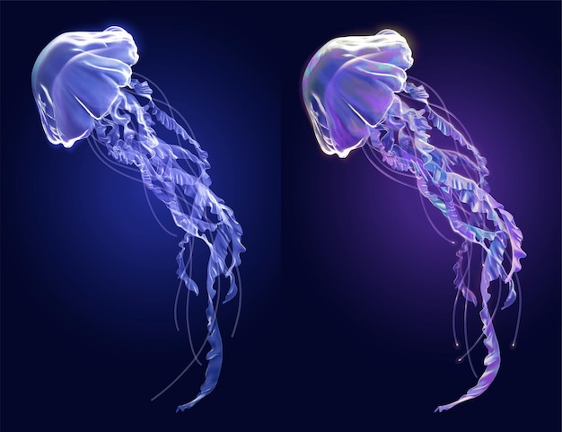 Vector conjunto de elementos de medusas surrealistas 3d