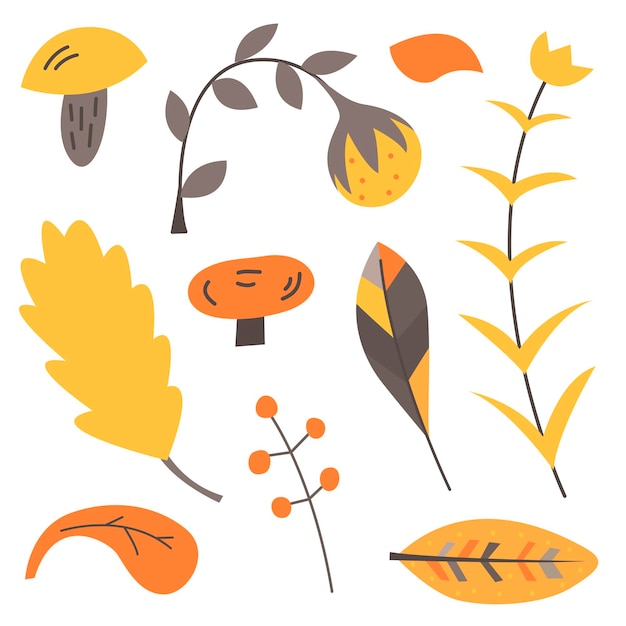 Conjunto de elementos naturales en un estilo escandinavo sobre fondo blanco Ilustración de vector plano