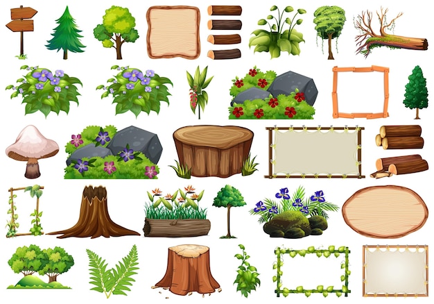 Conjunto de elementos de naturaleza para la ilustración vectorial de decoración