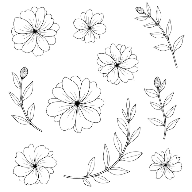 Conjunto de elementos ornamentales florales dibujados a mano