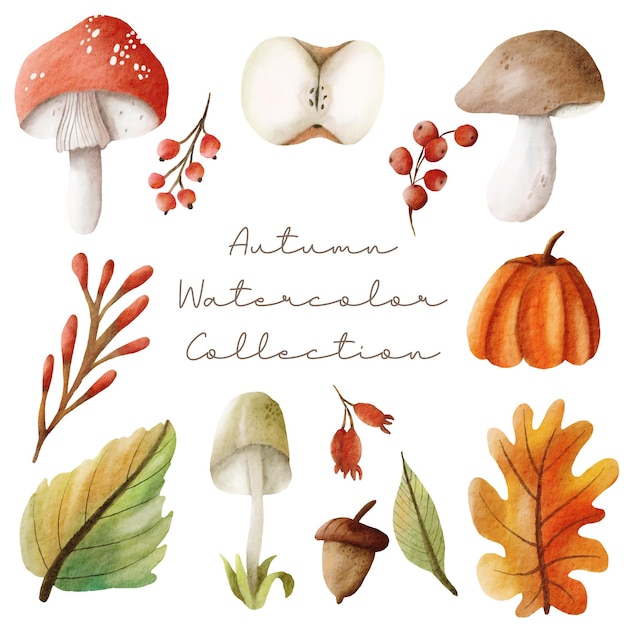 Vector conjunto de elementos de otoño acuarela