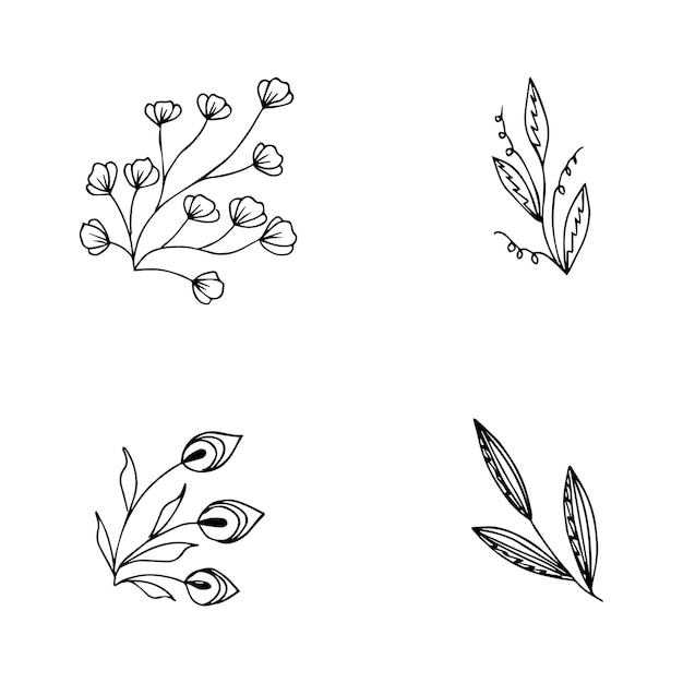 Vector conjunto de elementos de plantas de garabatos dibujados a mano para el concepto de diseño floral