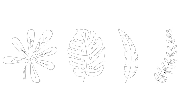Conjunto de elementos de plantas de verano de línea