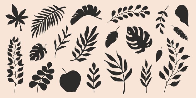 Conjunto de elementos de silueta botánica negra en un fondo beige Ilustración vectorial