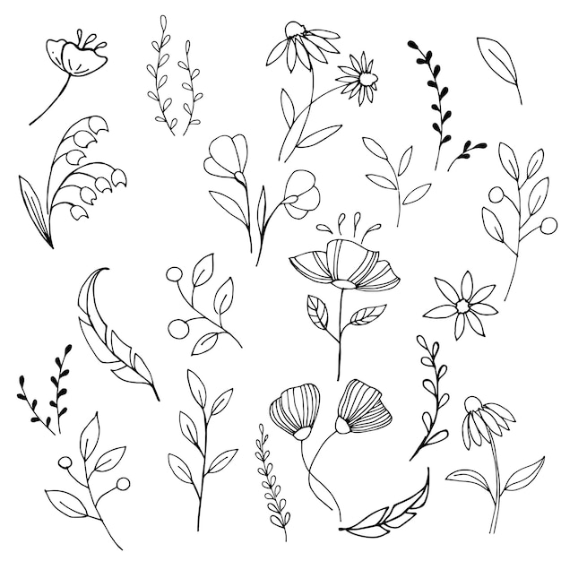 Conjunto de elementos simples de flores y plantas.