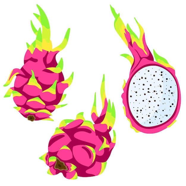 Conjunto de elementos de vector de fruta de dragón tropical