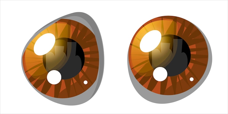 Vector conjunto de elementos de vector de ojo de dibujos animados. ojos cafés. aislado.