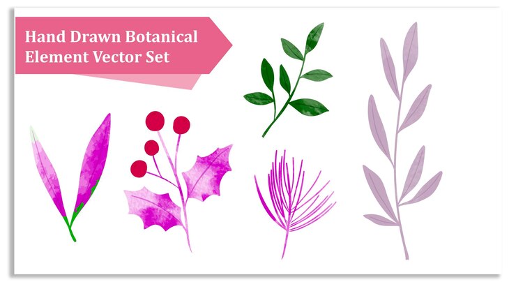 Vector conjunto de elementos vectoriales botánicos dibujados a mano