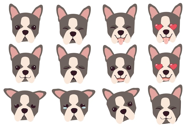 Vector conjunto de emociones de perro boston terrier gracioso sonriente y enojado perro triste y deleitado cara de perro