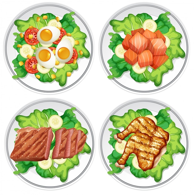 Vector conjunto de ensalada diferente