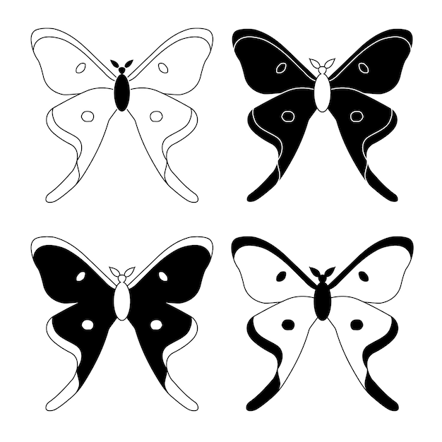 Vector conjunto de especies de insectos mariposa en blanco y negro estilo plano