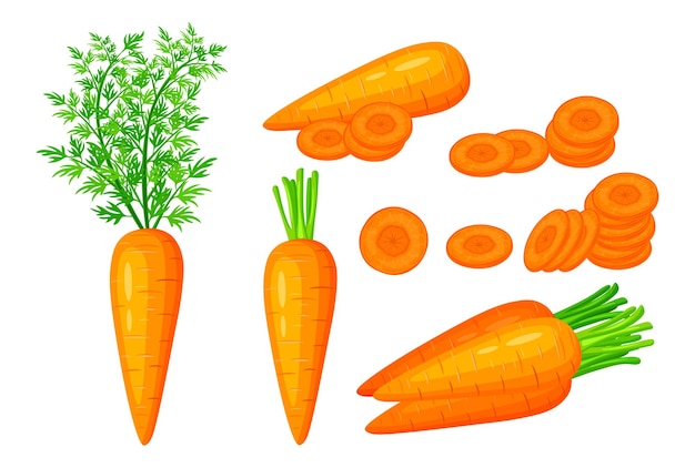 Conjunto de espinacas verdes frescas al estilo de dibujos animados Ilustración vectorial de verduras de tamaños grandes y pequeños agrupadas con hojas sobre fondo blanco