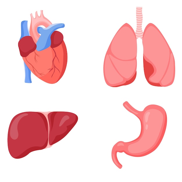 botiquín de primeros auxilios con diferentes pastillas y termómetro,  atención médica. ilustración vectorial en estilo de dibujos animados  6685338 Vector en Vecteezy