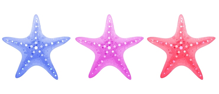 Vector conjunto de estrellas de mar coloridas ilustraciones vectoriales de animales marinos en estilo acuarela aisladas