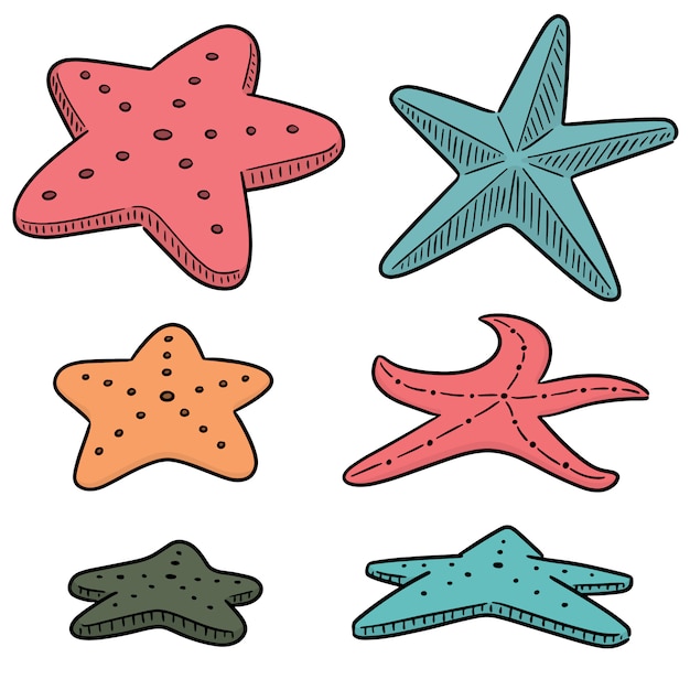 Vector conjunto de estrellas de mar