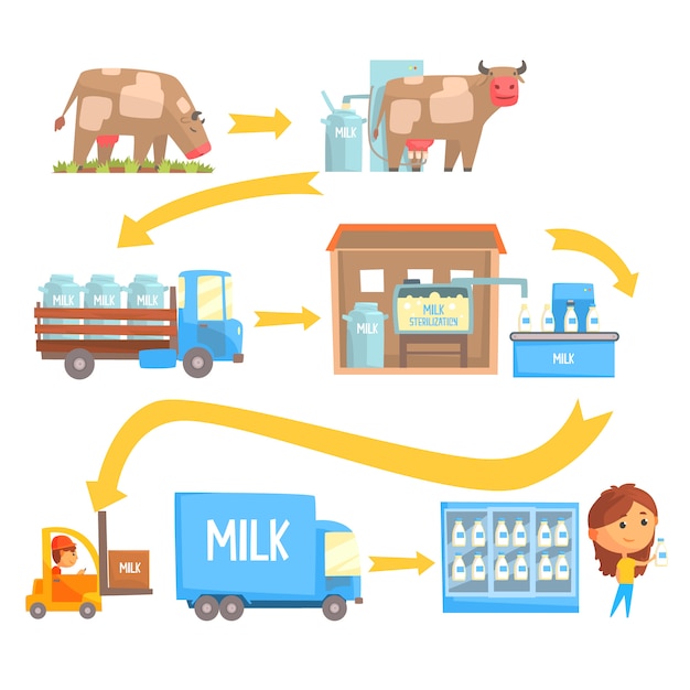 Conjunto de etapas de producción y procesamiento de leche de ilustraciones vectoriales
