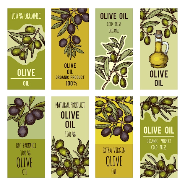 Conjunto de etiquetas para botellas de aceite de oliva. plantilla de diseño vectorial para productos premium.