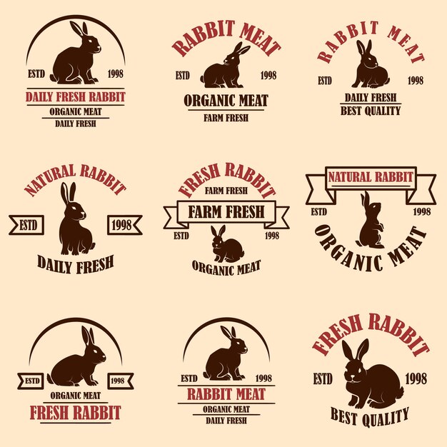 Conjunto de etiquetas de carne de conejo. Elementos de diseño de logotipo, etiqueta, letrero, insignia, cartel. Imagen vectorial