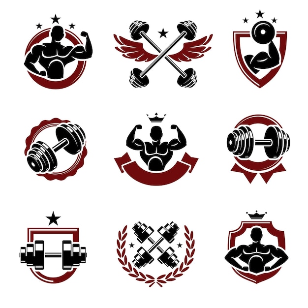 Conjunto de etiquetas y elementos de colección de fitness Icono de colección Fitness Vector