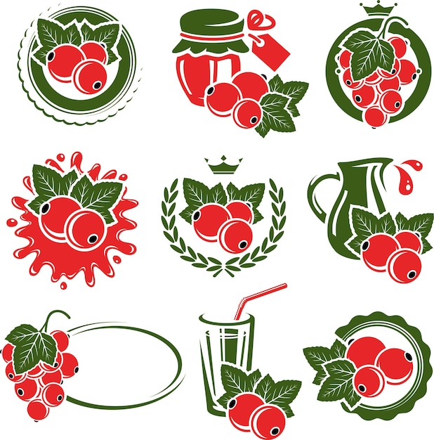 Conjunto de etiquetas y elementos de grosella roja Vector