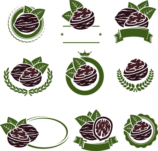 Conjunto de etiquetas y elementos de nueces de nuez Vector