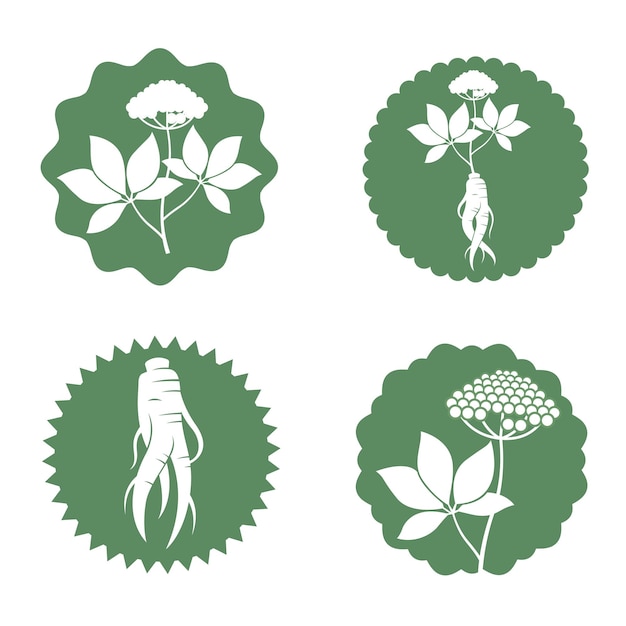 conjunto de etiquetas de ginseng