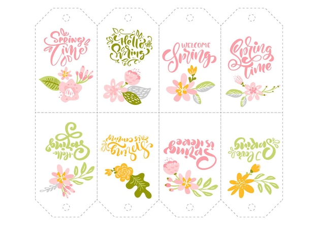 Conjunto de etiquetas de hierbas de flores de primavera con texto de letras caligráficas Marco de jardín vectorial abstracto plano