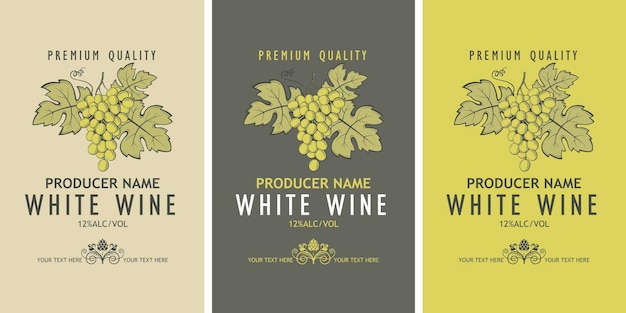 Conjunto de etiquetas de vino