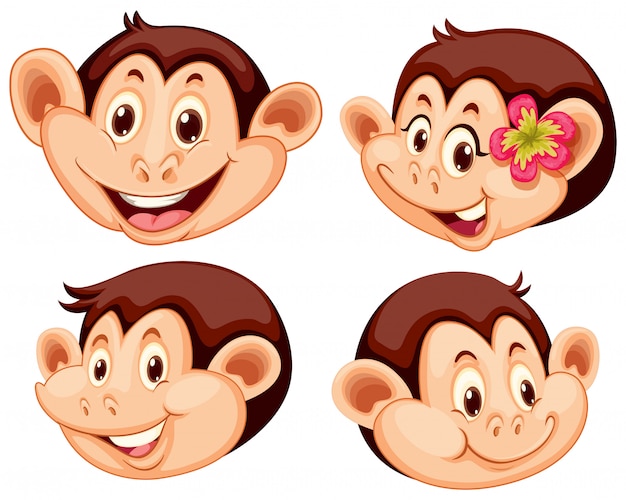 Conjunto de expresiones faciales de mono