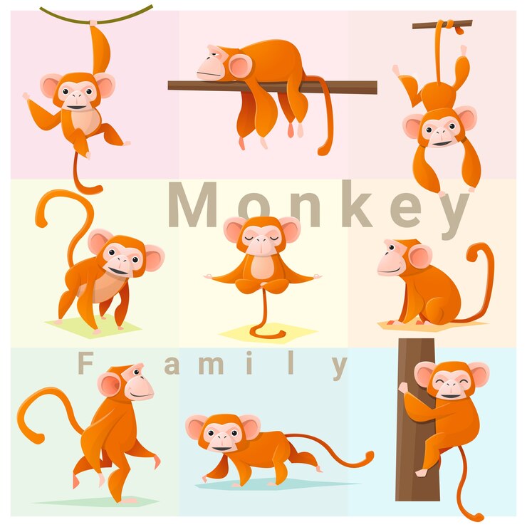 Vector conjunto de la familia monkey