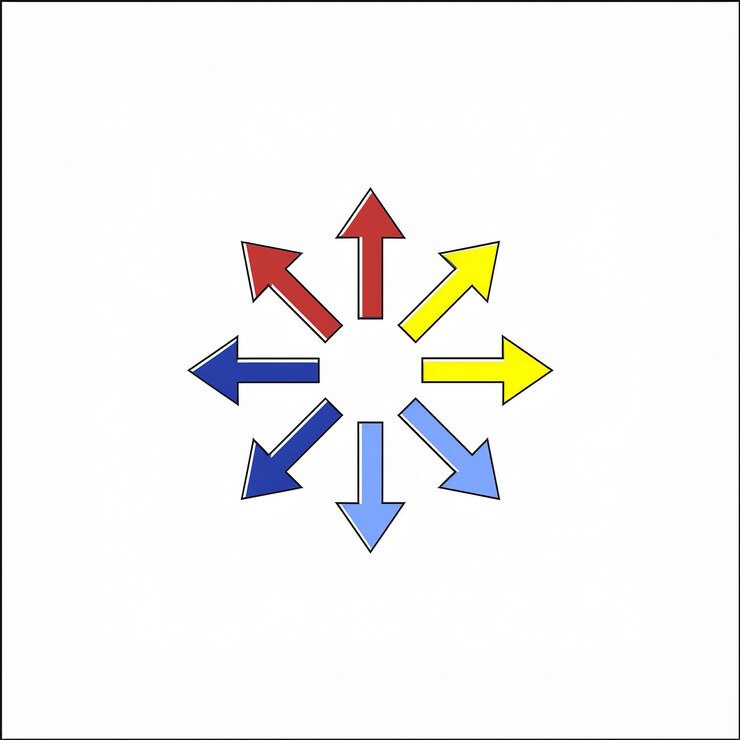 Vector un conjunto de flechas