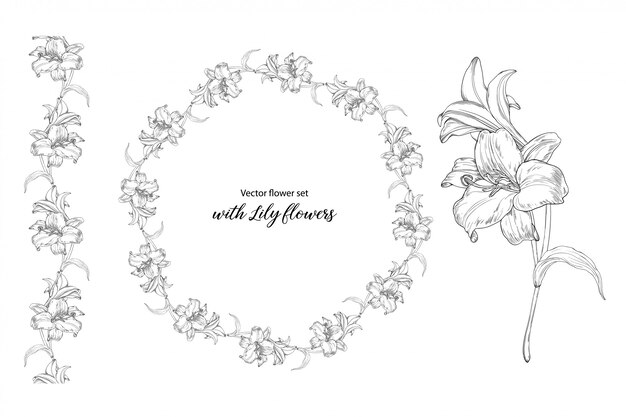 Conjunto de la flor con flores de lirio