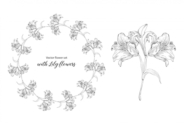 Conjunto de la flor con flores de lirio