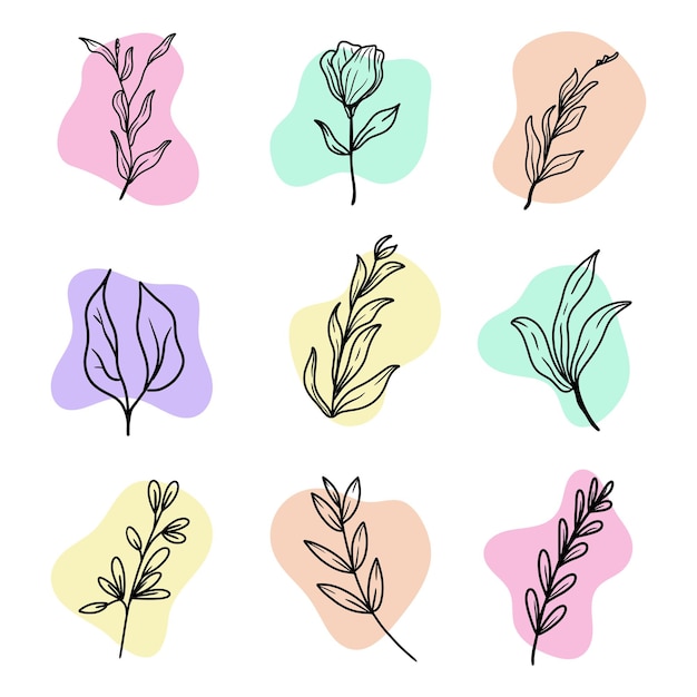 Conjunto de floración de líneas ilustradas