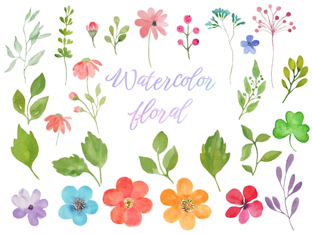 Conjunto floral de acuarela dibujado a mano ilustración linda Vector EPS