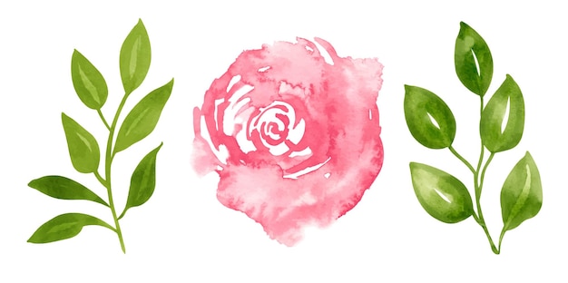 Vector conjunto floral de acuarela con flor de rosa rosa roja y ramas con hojas verdes ilustración dibujada a mano para tarjetas de felicitación o invitaciones de boda sobre fondo aislado dibujo abstracto de acuarela