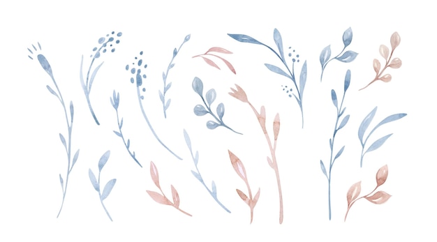 Conjunto floral acuarela de ramas de hojas turquesas y rosas, ramitas, etc. Ilustración de vegetación aislada