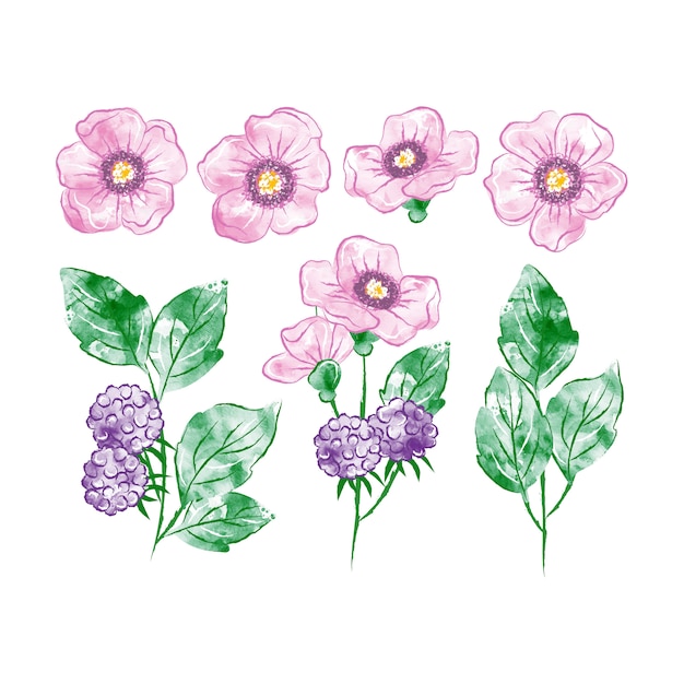 Vector conjunto floral acuarela