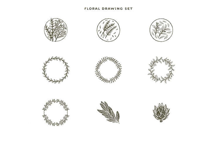 Vector conjunto floral dibujado a mano
